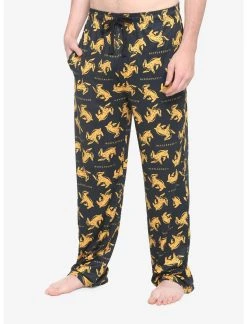 Bioworld Harry Potter Hufflepuff House Pajama Pants
